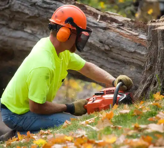 tree services Yah-ta-hey